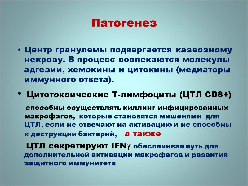 Патогенез Центр гранулемы подвергается казеозному некрозу. В процесс вовлекаются молекулы адгезии, хемокины и цитокины